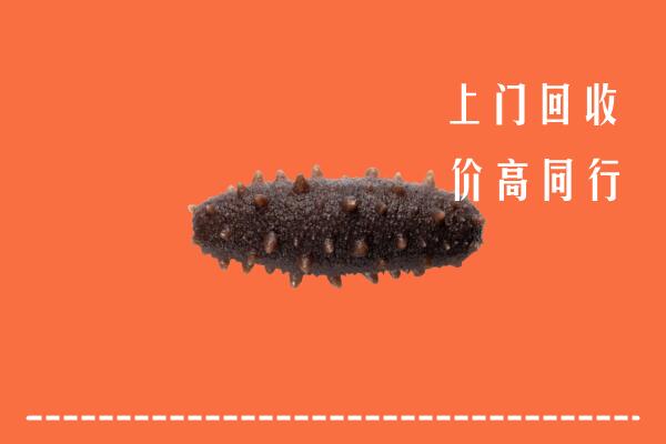 高价求购：广州市荔湾区回收海参