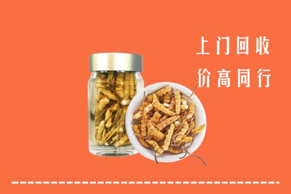 广州市荔湾区高价回收冬虫夏草